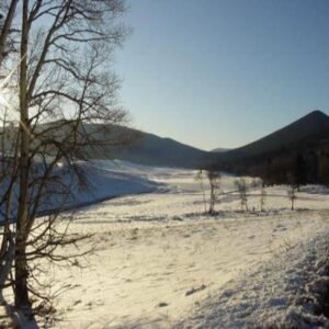 ABCs Of Mountain Homesteading, Part 3: Make the Commitment Image